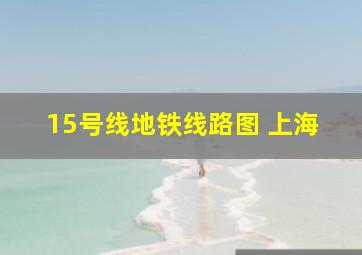 15号线地铁线路图 上海